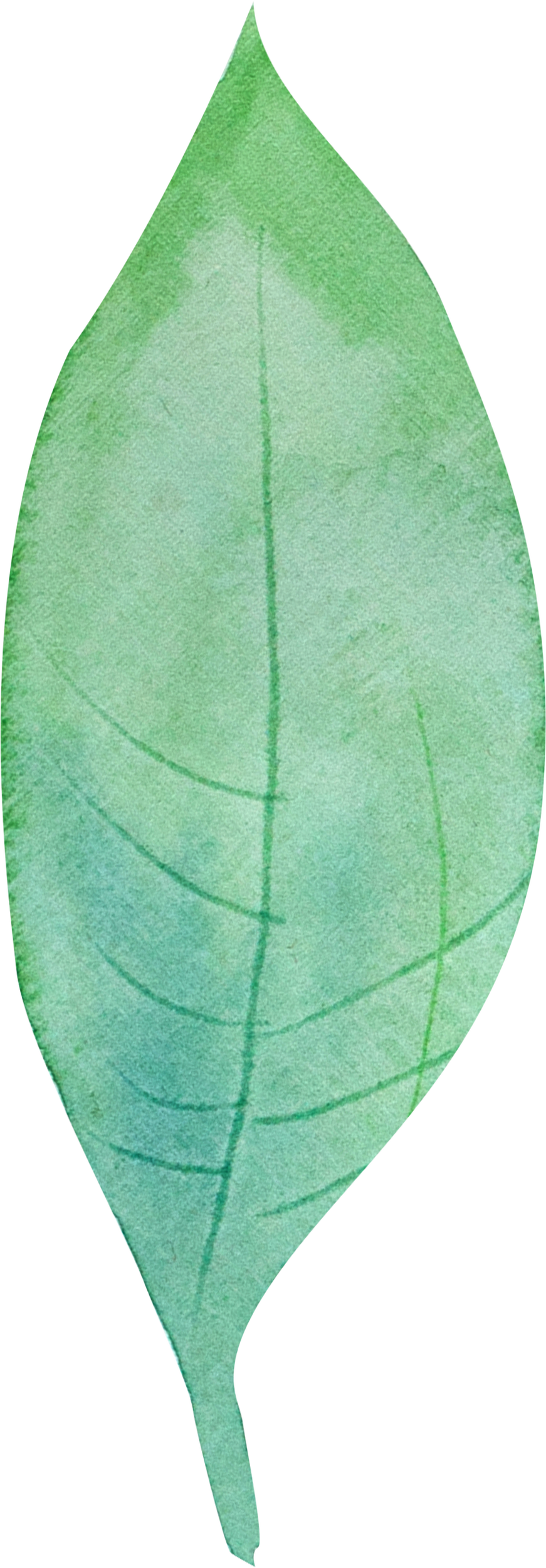 Creative Green Leaf Design Decoration Vector (871x2500), Png Download