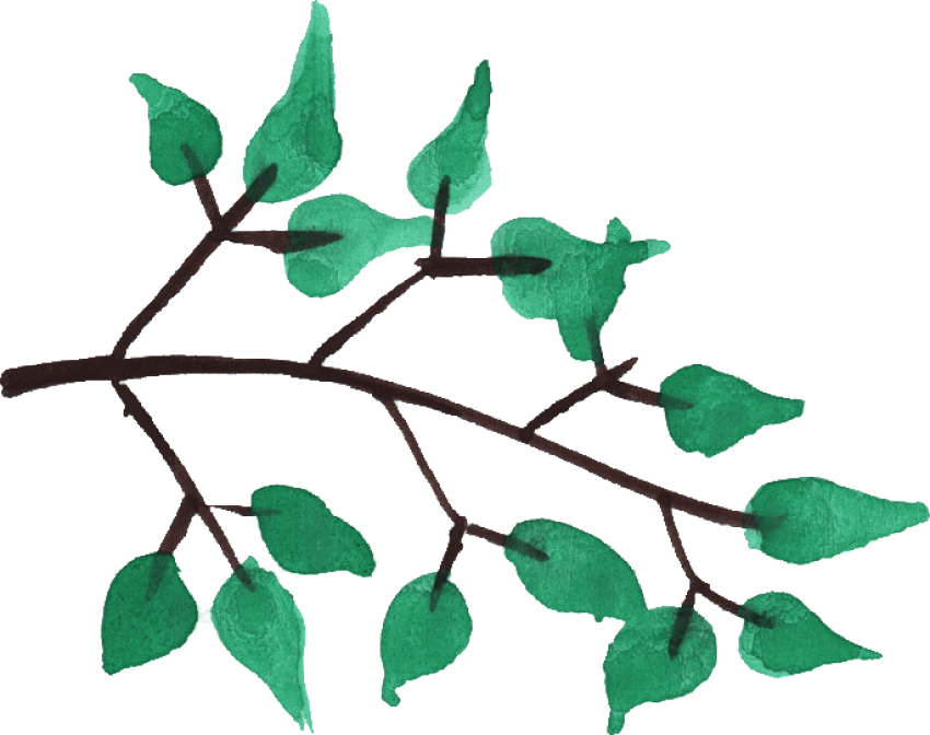 Free Png Download Watercolor Tree Branches Png Images - Watercolor Tree Branches Png (850x672), Png Download