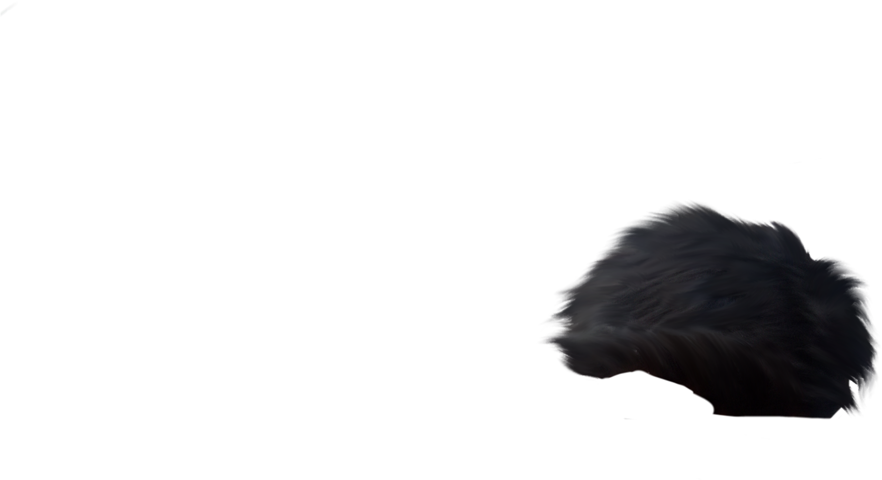 2) Hair Png - Silhouette (2172x2896), Png Download