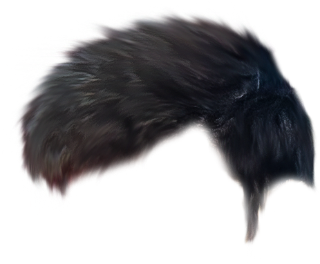 Hair Png The Water Manipulation Editing Background - Insect (966x744), Png Download