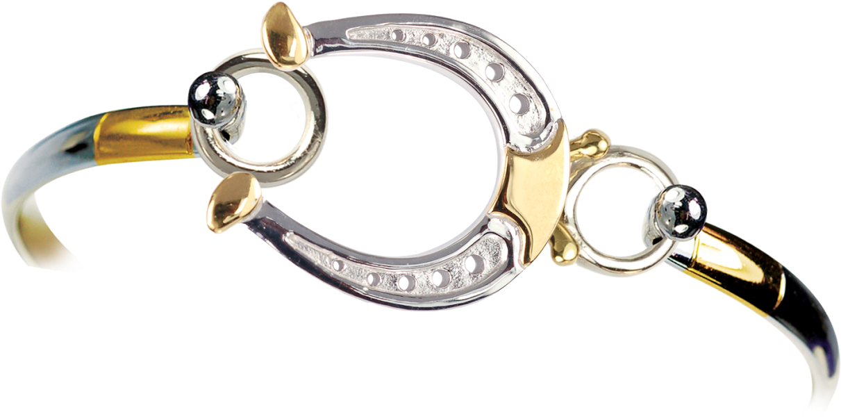 Two-toned Horseshoe Topper And Bracelet - Bracelet (1300x692), Png Download