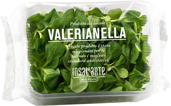Spinach (700x700), Png Download