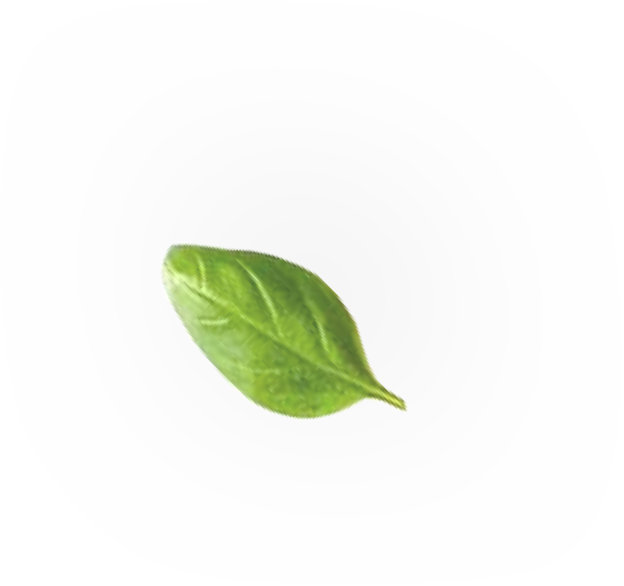 What Do You Get - Buttonbush (687x645), Png Download