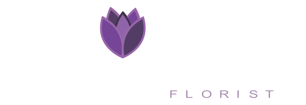 Tulip (1000x353), Png Download