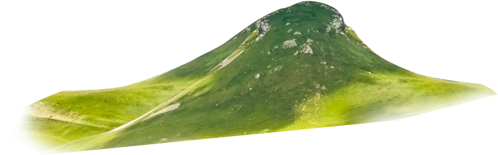 Nature Nature - Gourd (1920x960), Png Download