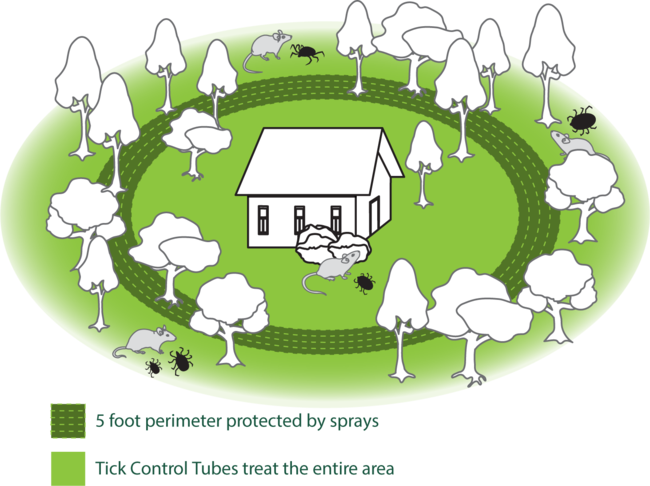 Upgrade Your Tick Control - Illustration (650x486), Png Download