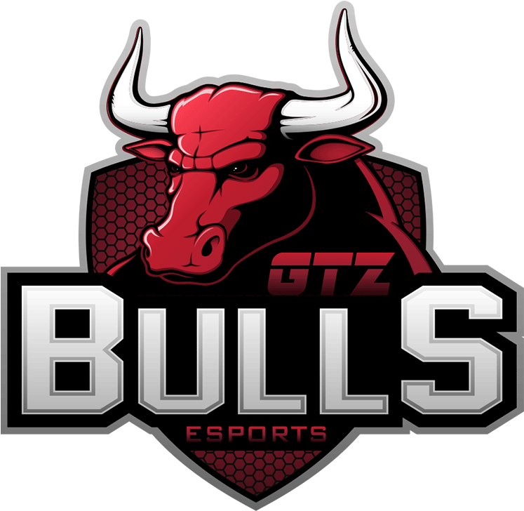 Gtz Bulls (800x800), Png Download