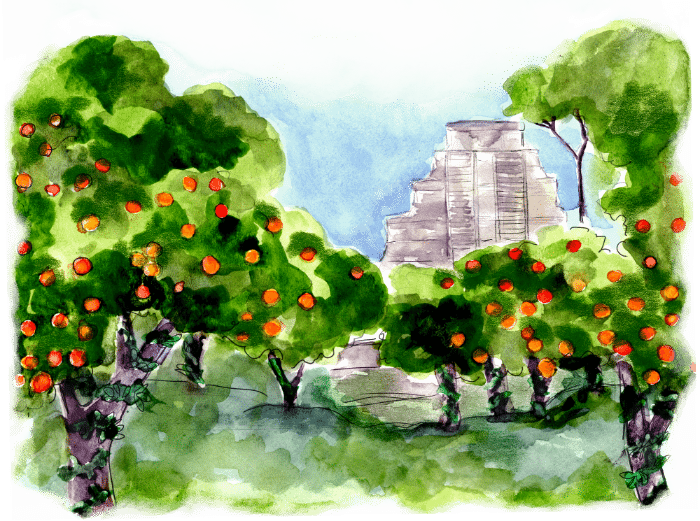 Sensorial Journey - Watercolor Paint (700x521), Png Download