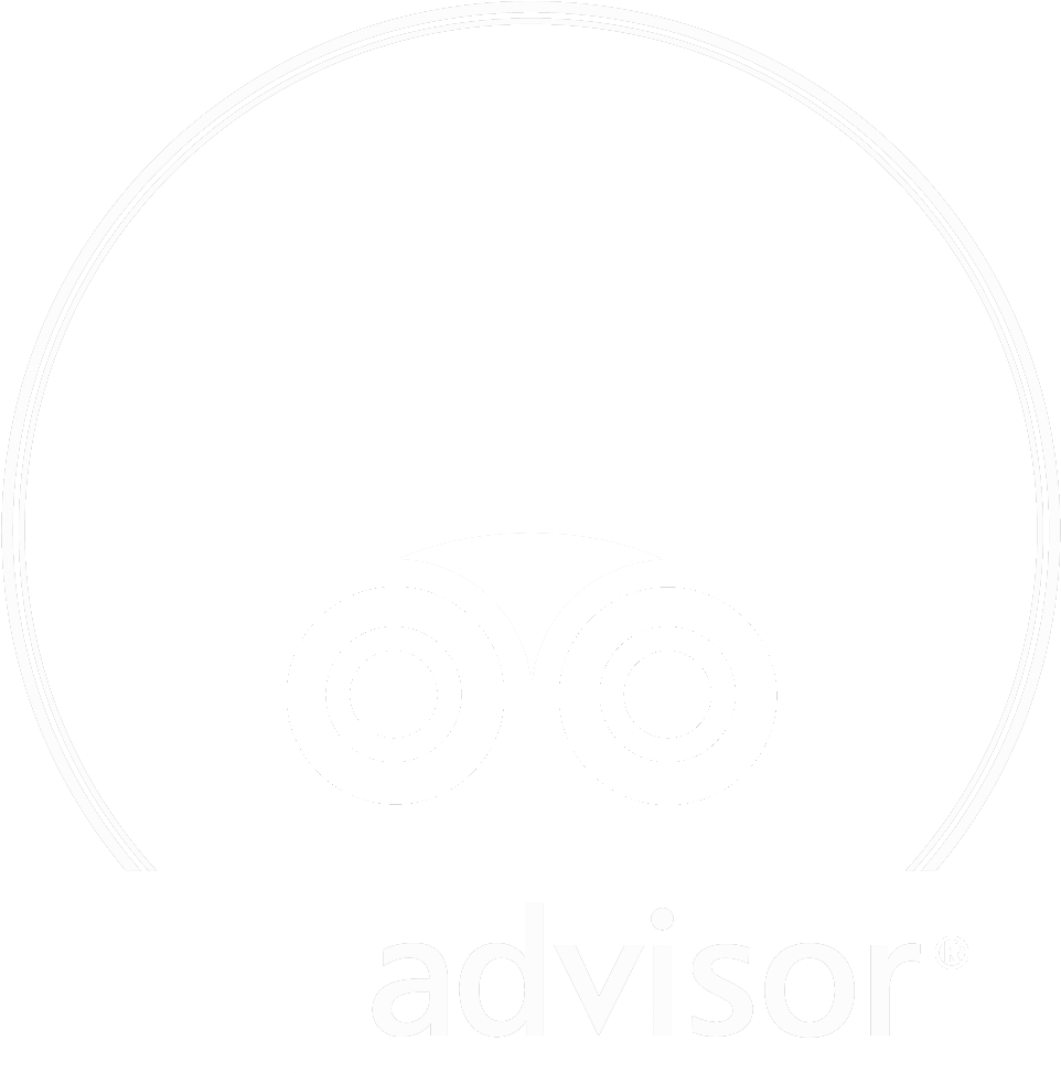 Galería - Certificate Of Excellence Logo 2018 (1148x1126), Png Download