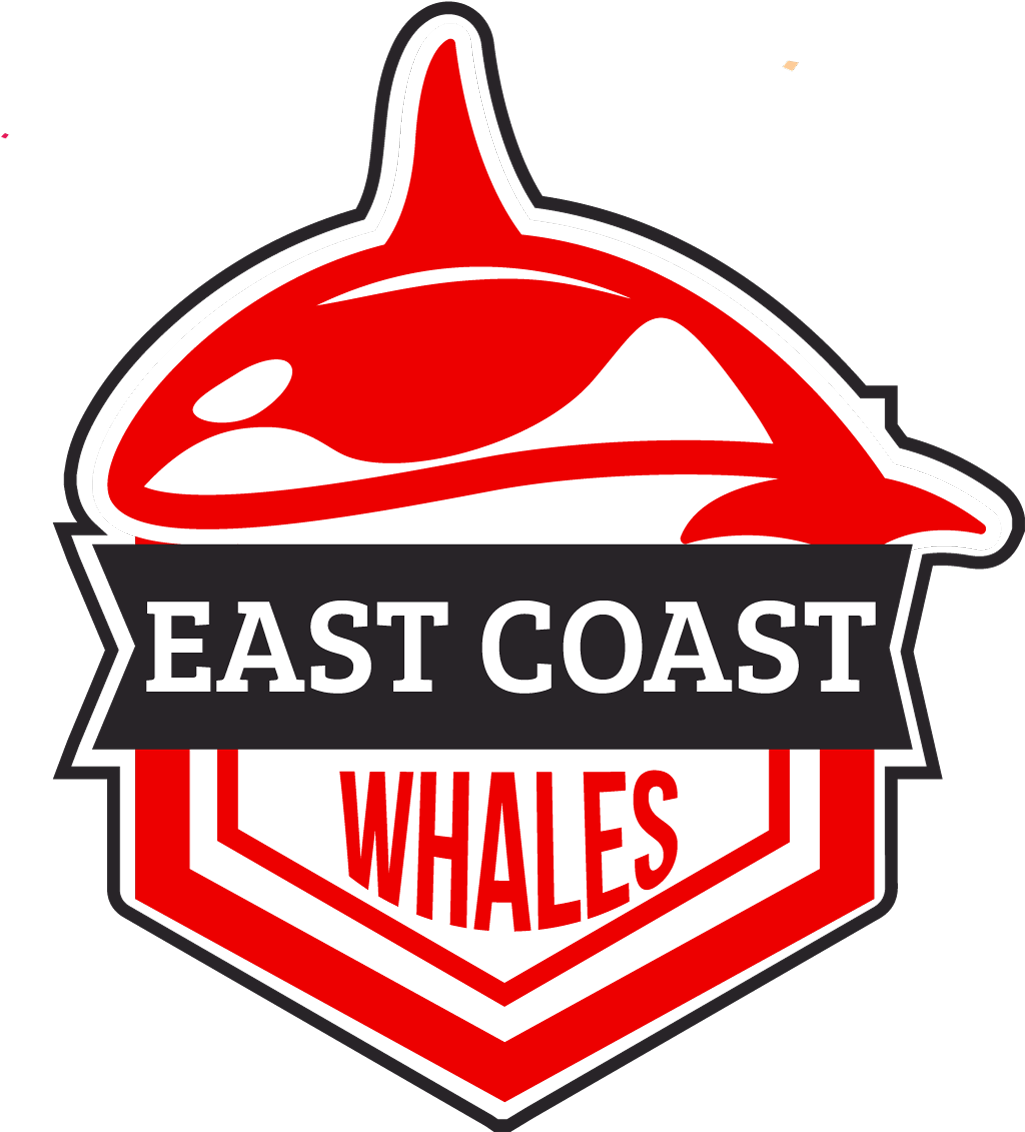 Team Owner - Ziad Abbas - Kids Store (1200x1200), Png Download