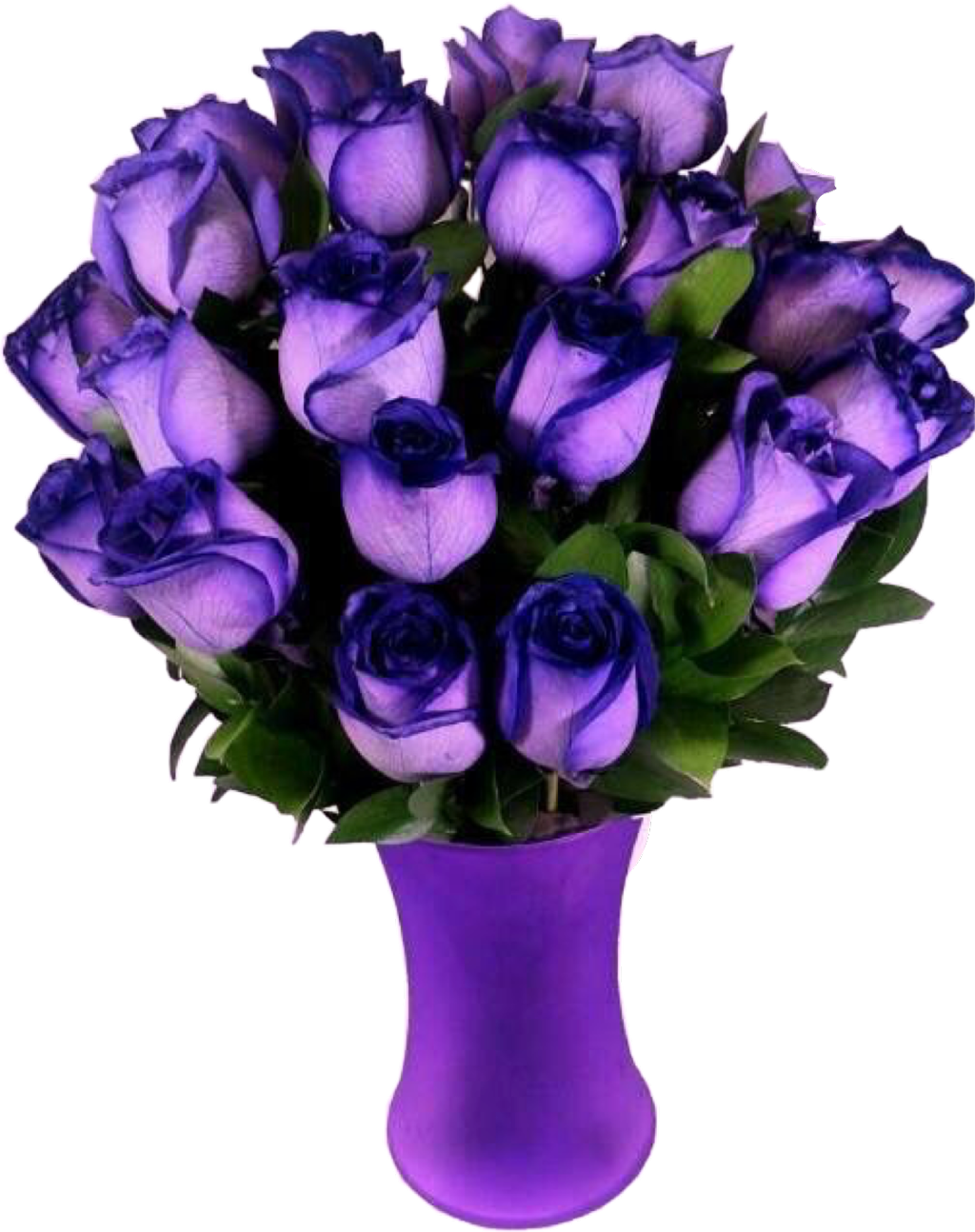 Report Abuse - Most Beautiful Purple Roses In The World (1024x1294), Png Download