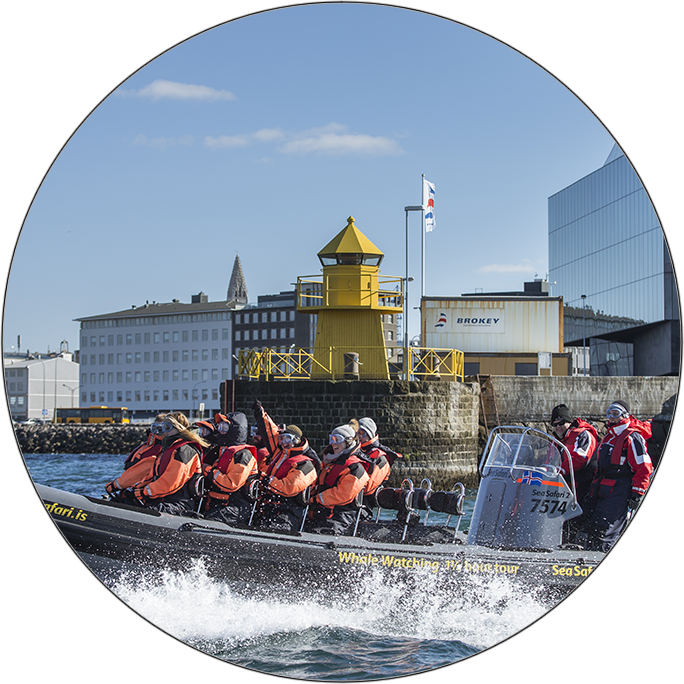 In Winter And Summer, We Can Offer A Variety Of Adventurous - Tubing (684x684), Png Download