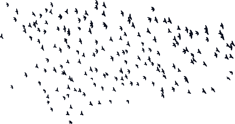 Input Flock Of Birds Silhouette (780x414), Png Download