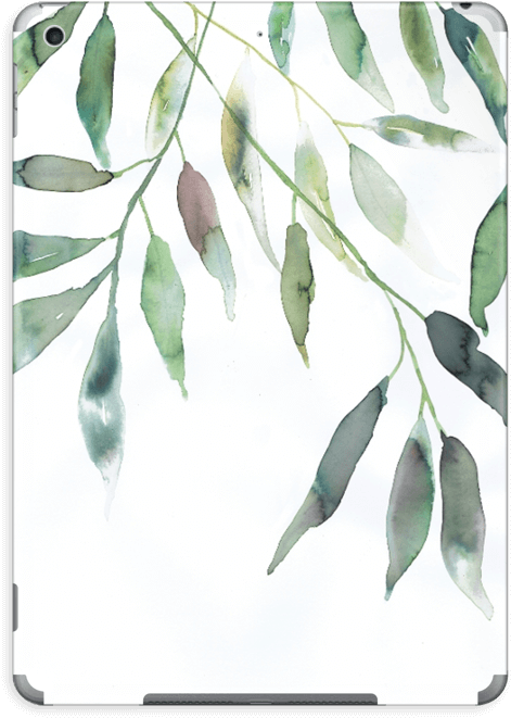 Ramas De Olivo - Iphone X (577x800), Png Download