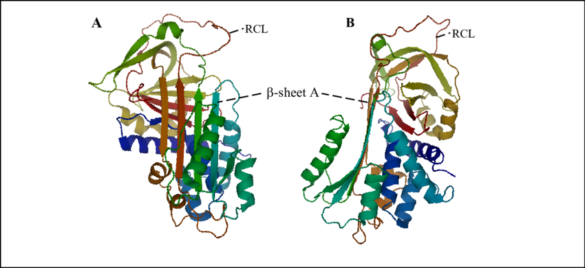 Crystal Structure Of Α 1 Pi In Two Projections - Illustration (850x390), Png Download