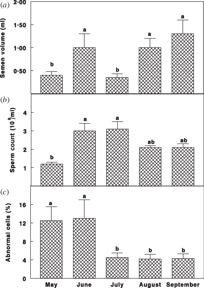 Semen Volume , Semen Count (b), And Percentage Of Abnormal - Line Art (675x953), Png Download