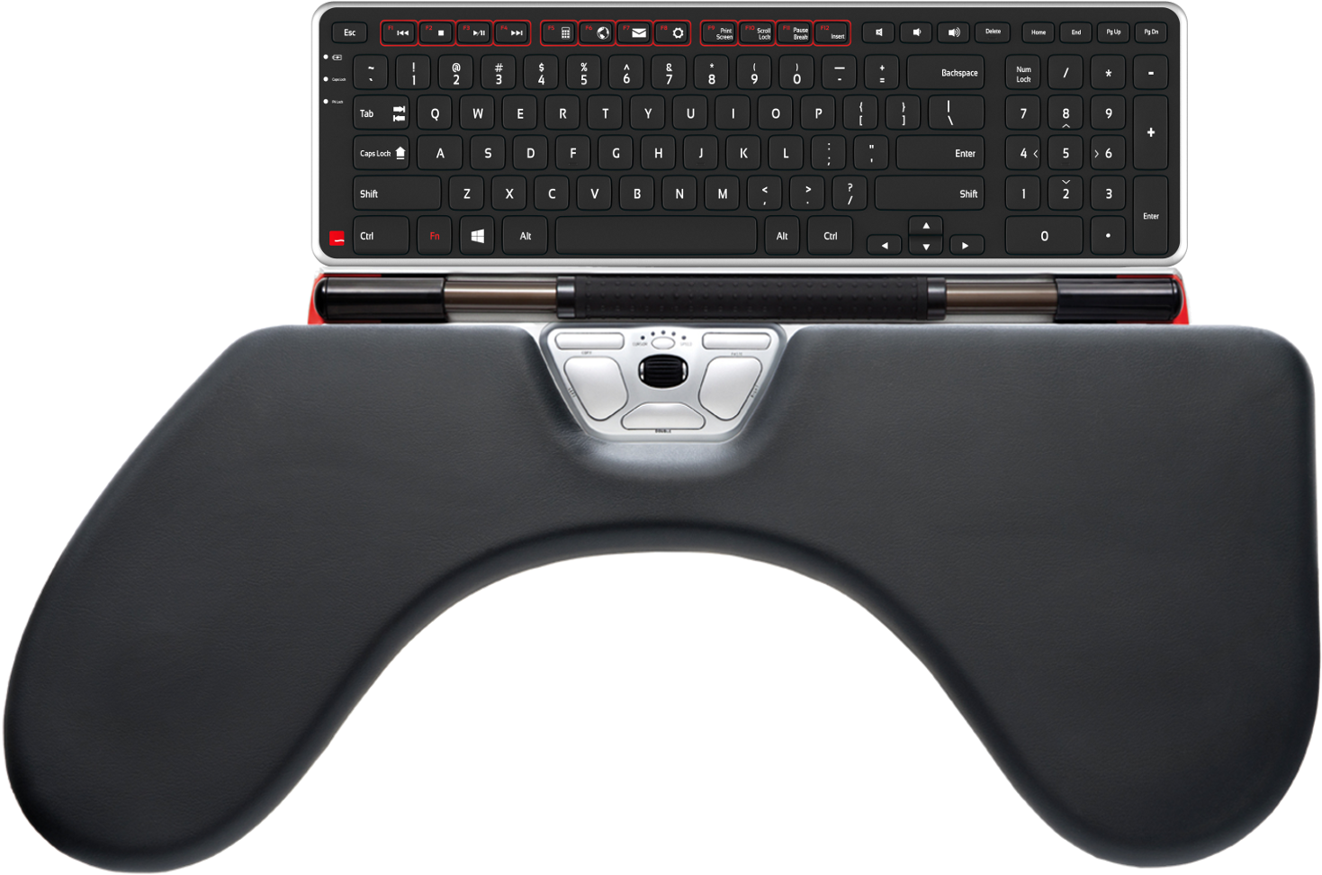 Https - //www - Ergoworkstation - Com - Keyboard Redarmsupport - Rollermouse Red Arm Support (2000x1500), Png Download