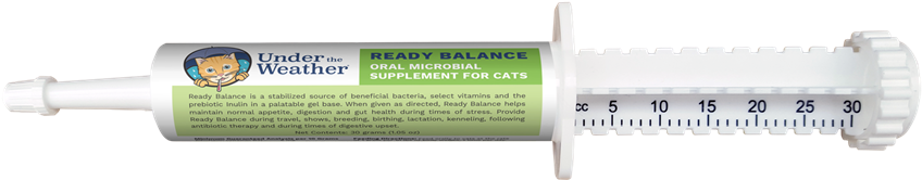 Ready Balance For Cats Tube - Syringe (933x1000), Png Download