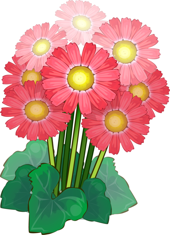 Color Vector, Vector Flowers, Free Vector Graphics, - Flowers Clipart (581x800), Png Download