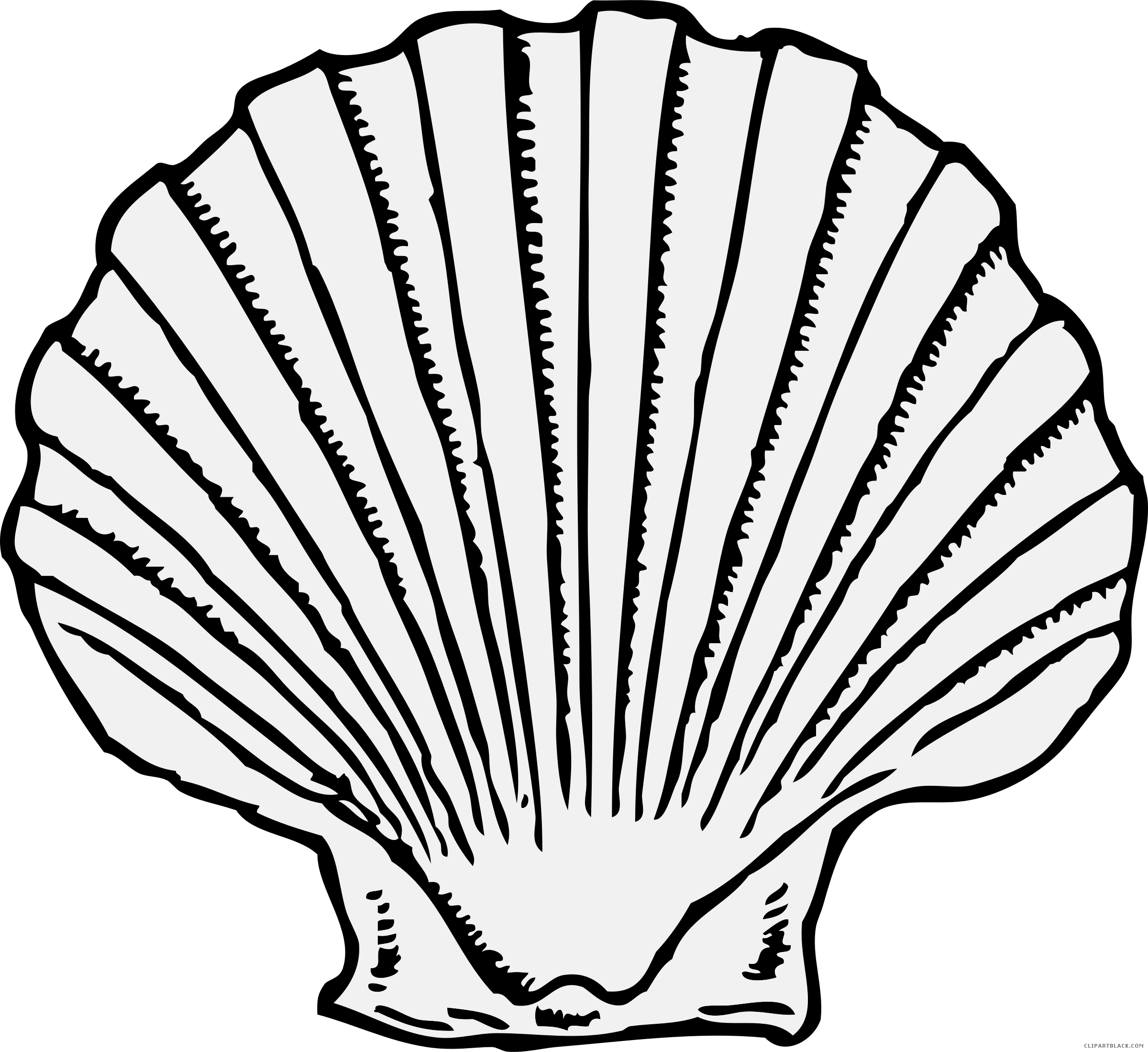 Graphic Transparent Stock Free For Download On Rpelm - Black And White Shell Drawing (2400x2198), Png Download