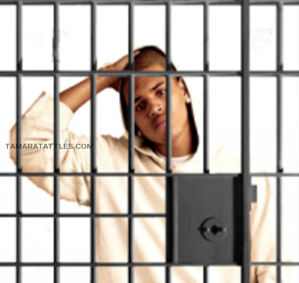 Chris Brown And Two Members Of His Entourage Arrested - Girl (600x567), Png Download