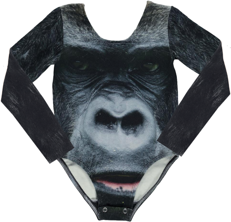Popupshop Gym Piece Gorilla - Western Gorilla (960x720), Png Download