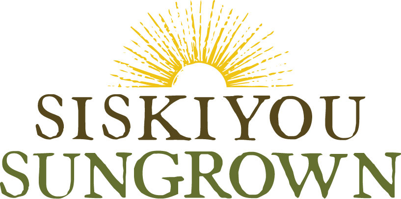 Sslogo Halfsun Newcolor Format=1500w (817x406), Png Download