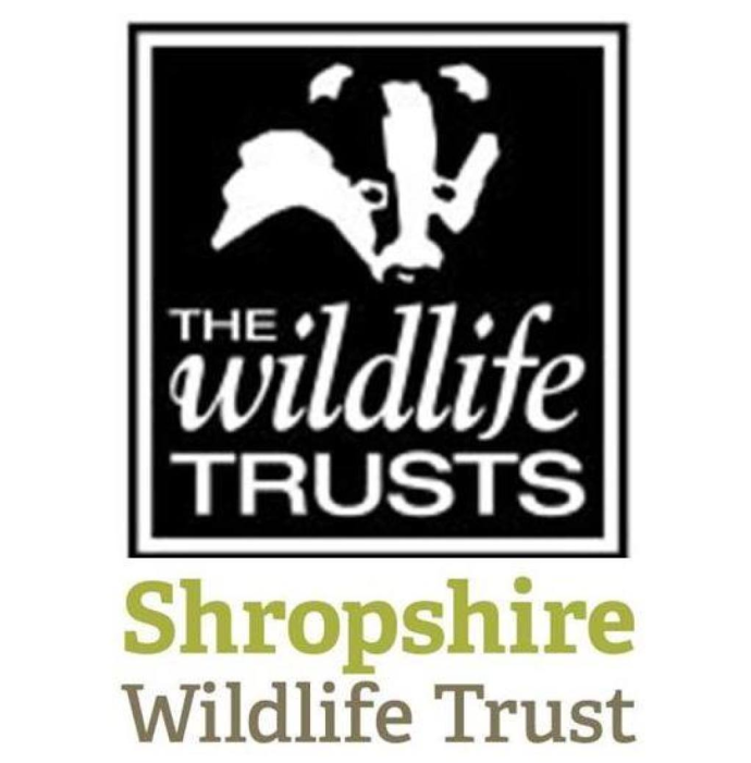 In The Spotlight - Wildlife Trust (2000x700), Png Download