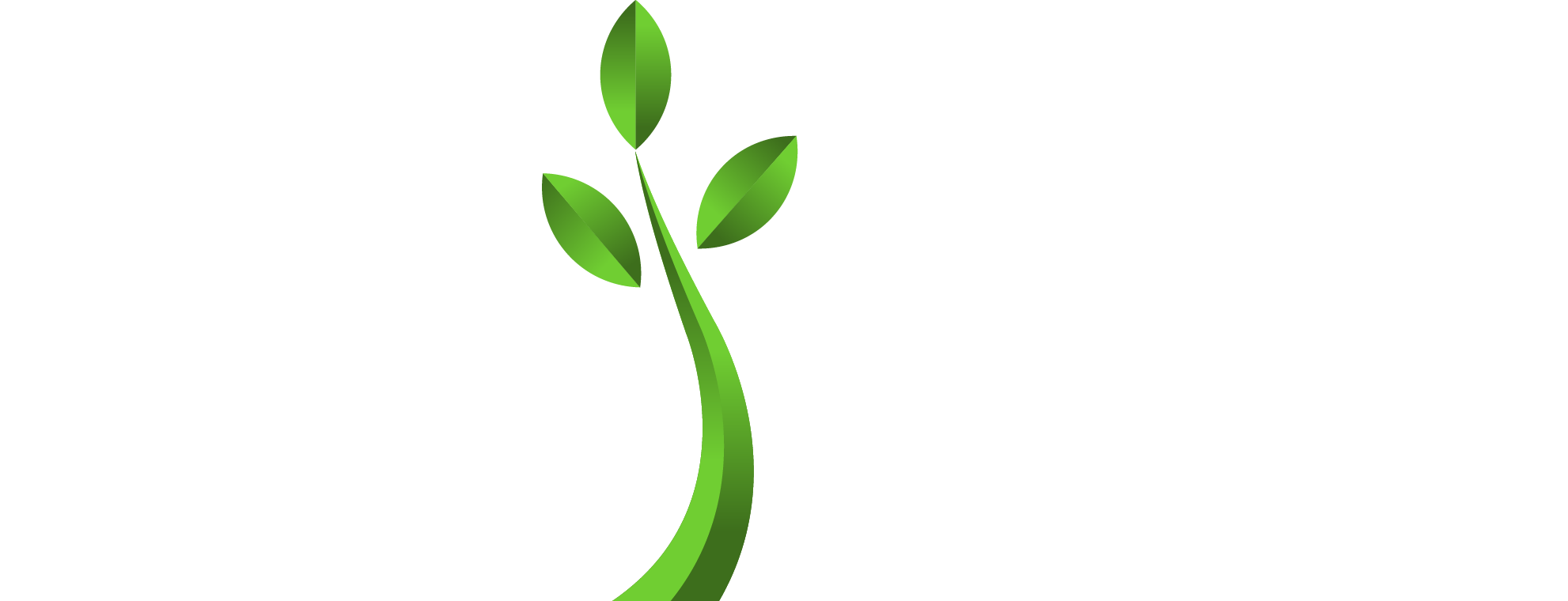 Limited Time Offer - Graphic Design (1982x760), Png Download