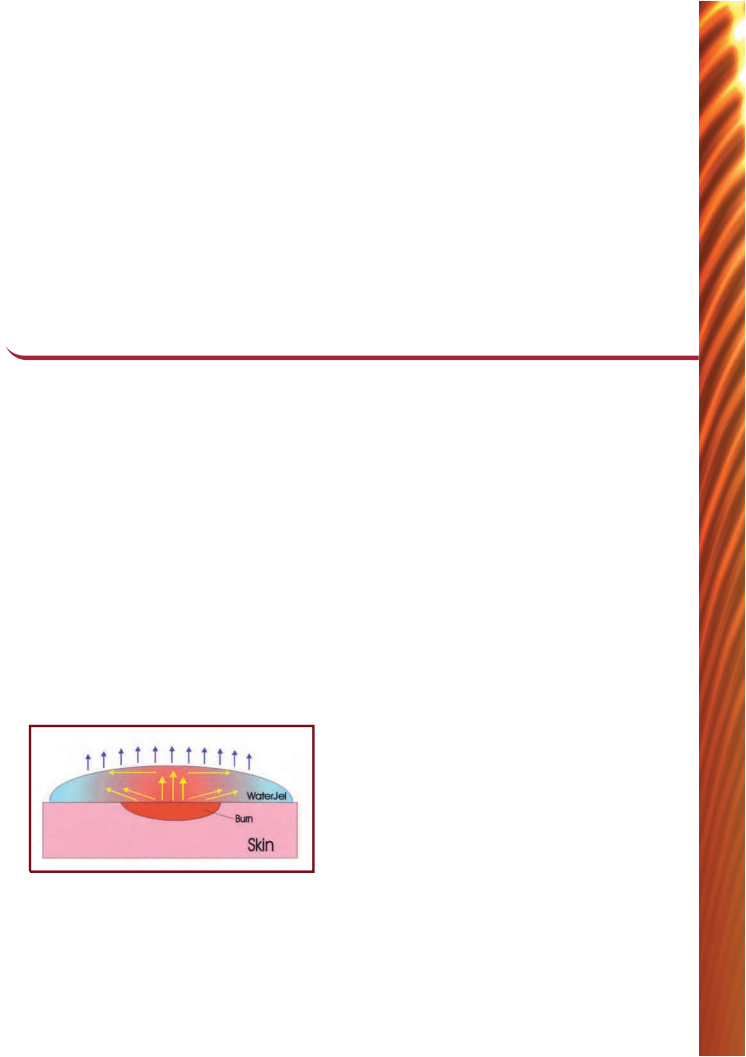 For The Pre-hospital Professional, It Is Essential - Stationery (746x1057), Png Download