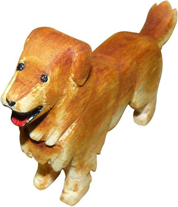 Golden Tallado - Dachshund (640x703), Png Download