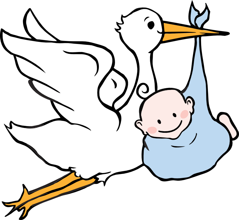 This Png File Is About Boy , Baby - Baby And Stork Clipart (800x736), Png Download