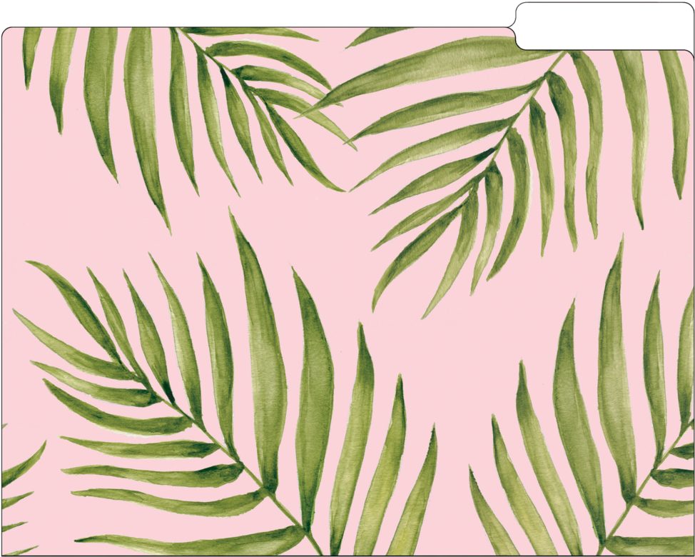 File Folder Set, Palm Leaves (1024x842), Png Download