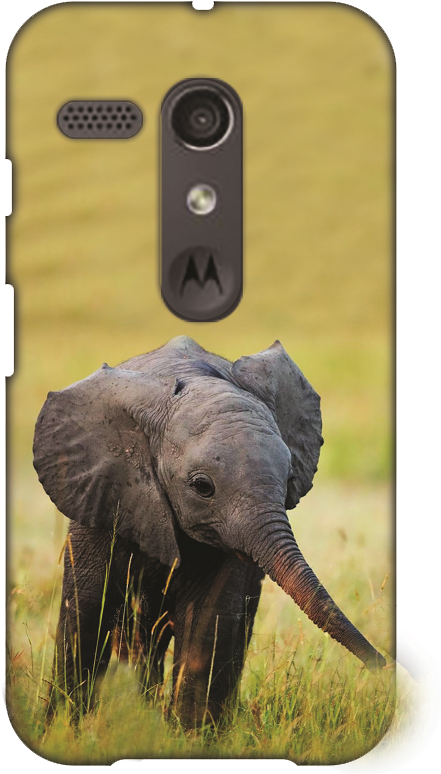 Adorable Elephants (686x917), Png Download