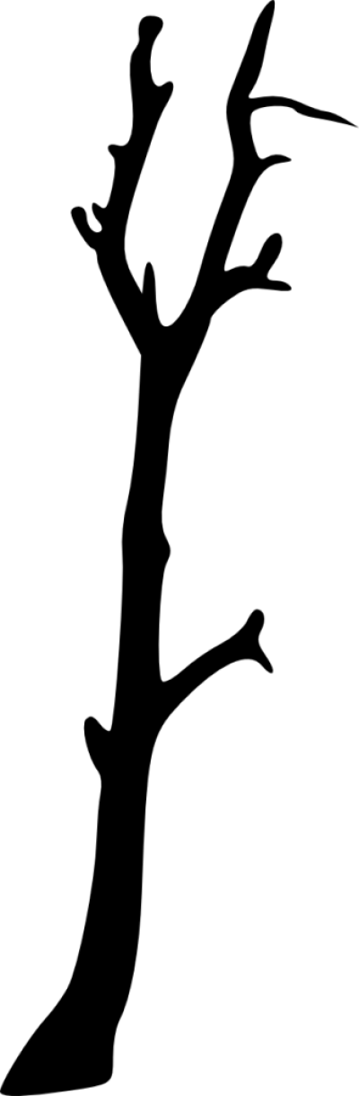 Bare Tree Silhouette - Silhouette (400x1219), Png Download