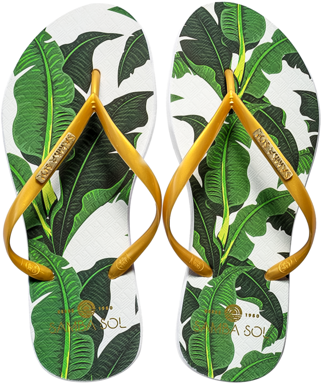 Women's Fashion Collection Flip Flops (1000x1000), Png Download