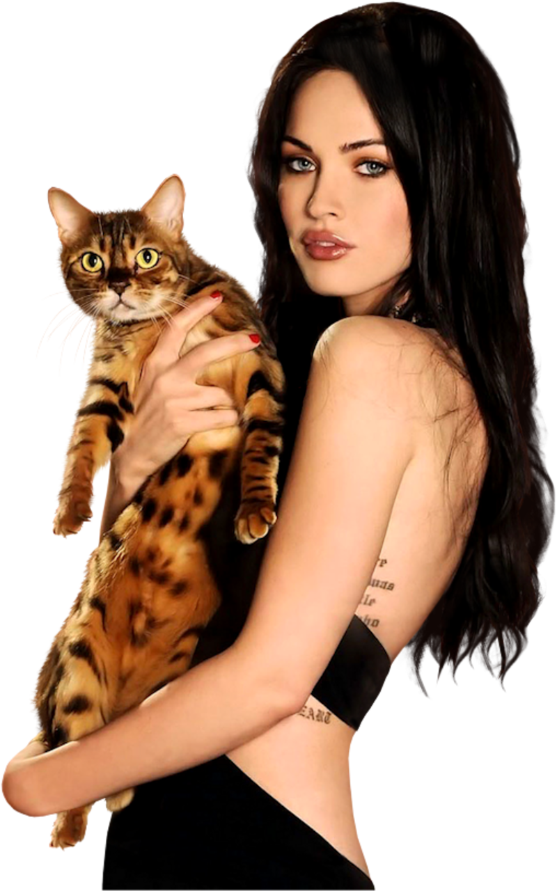 Célébrités Diverses - Megan Fox Cat (800x1280), Png Download