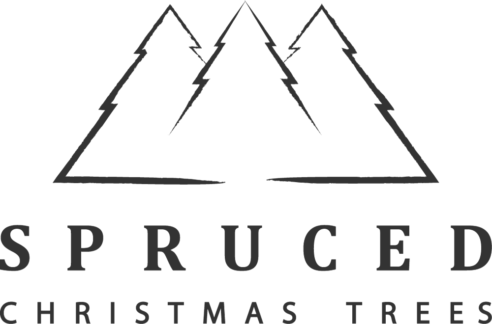 Christmas Trees Png (1000x660), Png Download