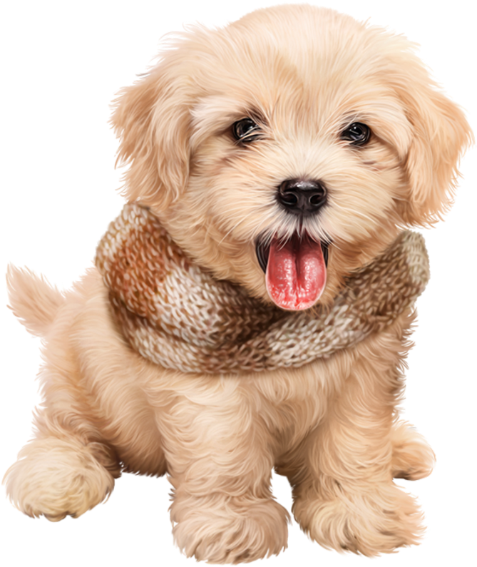 Cute Sticker - Puppy (1024x1024), Png Download