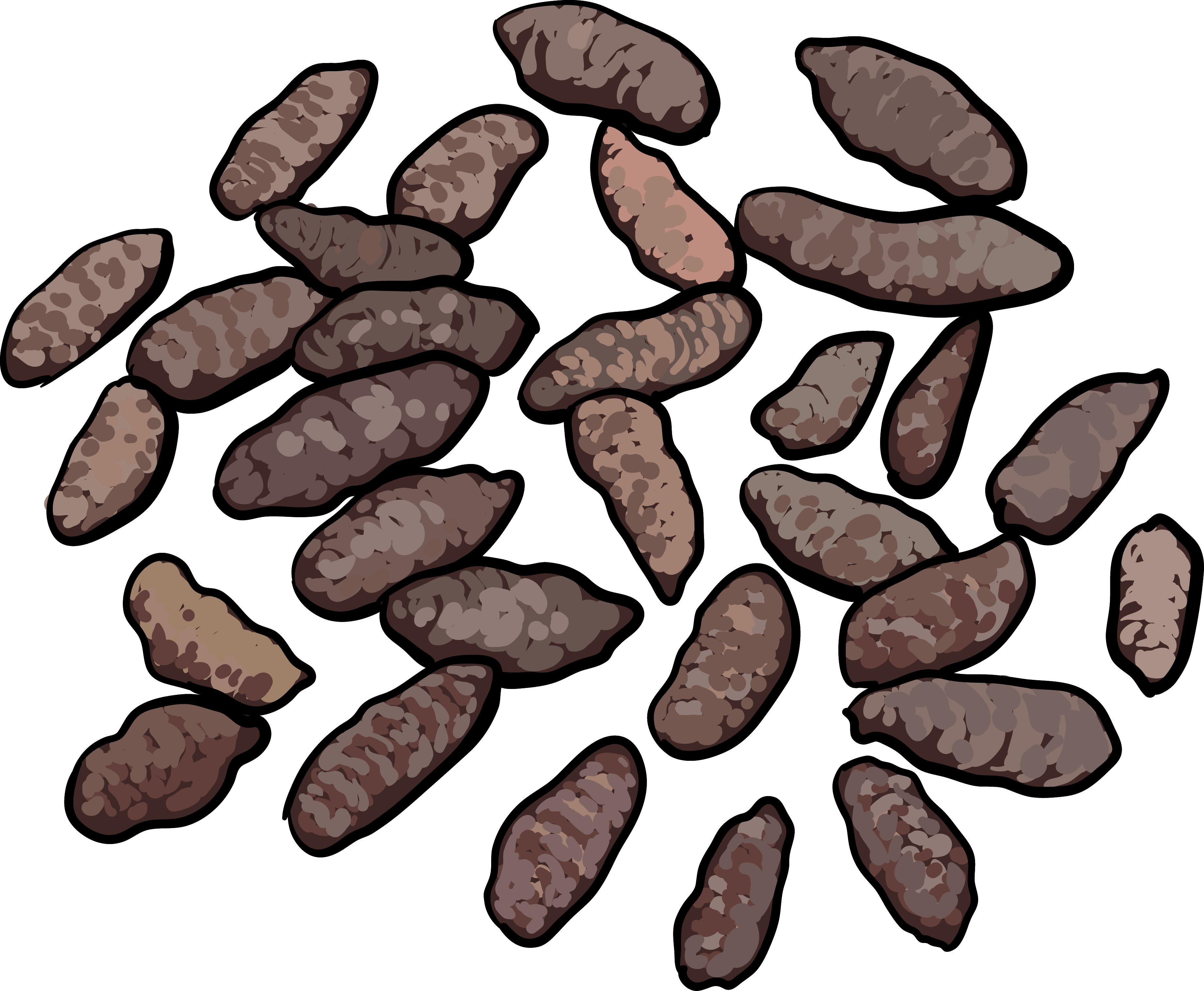 Norway Rat Droppings - Pack Rat Droppings (3687x3035), Png Download
