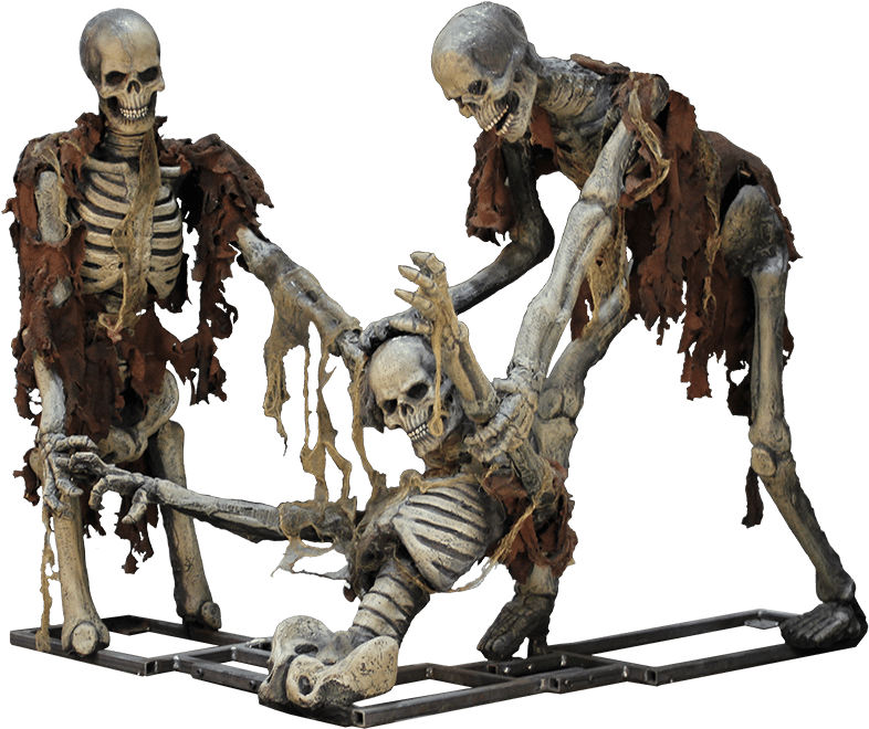 Png Of Hanging Skeleton (1000x1000), Png Download