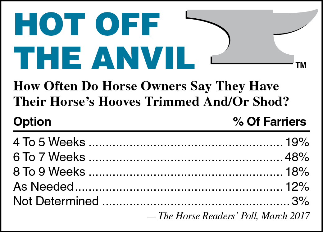 Congressmen Introduce Rival Horse Protection Bills - Ron Mueck Angel (1040x747), Png Download