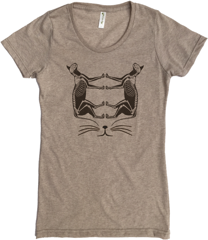 Cat Skeleton W Linen - Fiddler Crab (792x782), Png Download