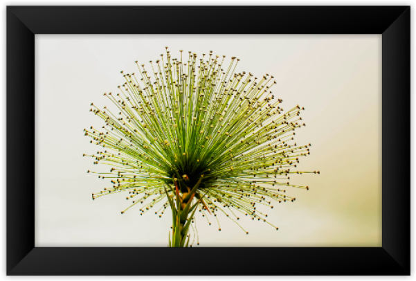 Quadro Floral - Picture Frame (600x800), Png Download