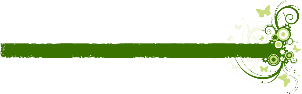 Info@posadalabraniza - Com - Salame De Chocolate (989x311), Png Download