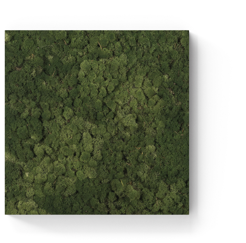 New To The Collection - Grass (1000x1000), Png Download