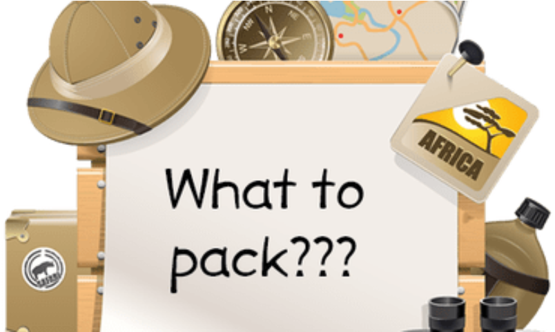 A Quick List Of Safari Essentials-what To Take On Your - Illustration (870x480), Png Download