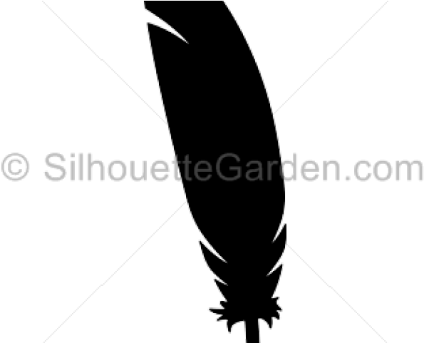 Fsc (640x480), Png Download