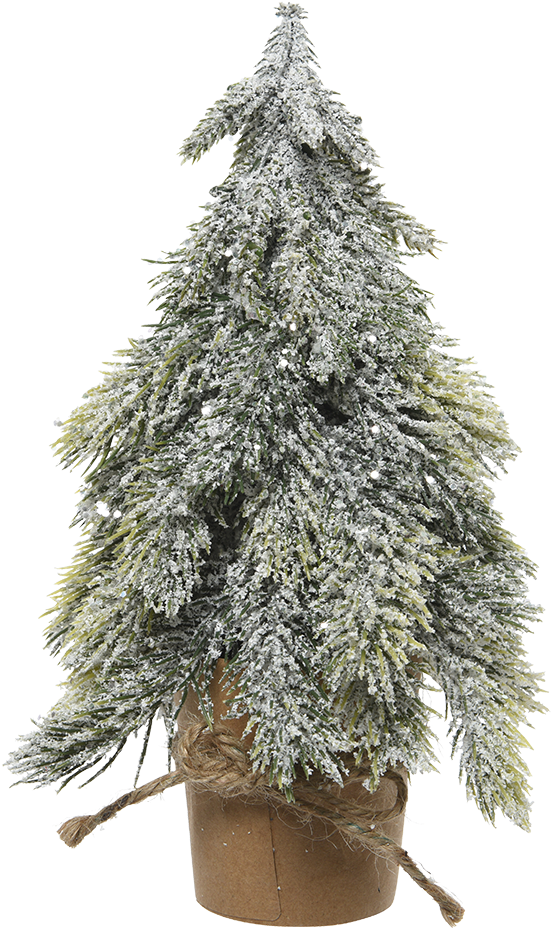 Artificial Christmas Tree In A Carton Pot, Snowy, - Christmas Tree (1000x1000), Png Download