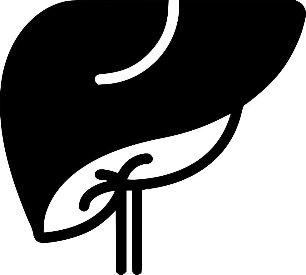 Png File Svg - Liver Icon Png (980x880), Png Download